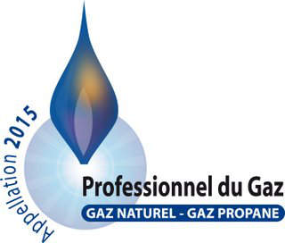 professionnel gaz